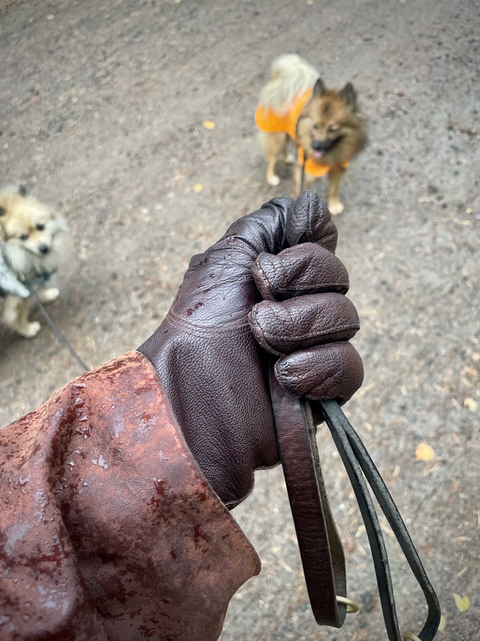 Hollannin armeijan herrain nahkahanskat, vuoritetut, ruskeat, ylijäämä