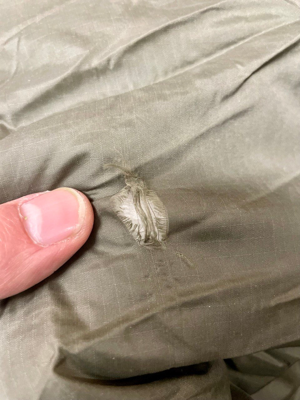 Hollannin armeijan modulaarinen kolmen vuodenajan makuupussi, "Defence 4", ylijäämä