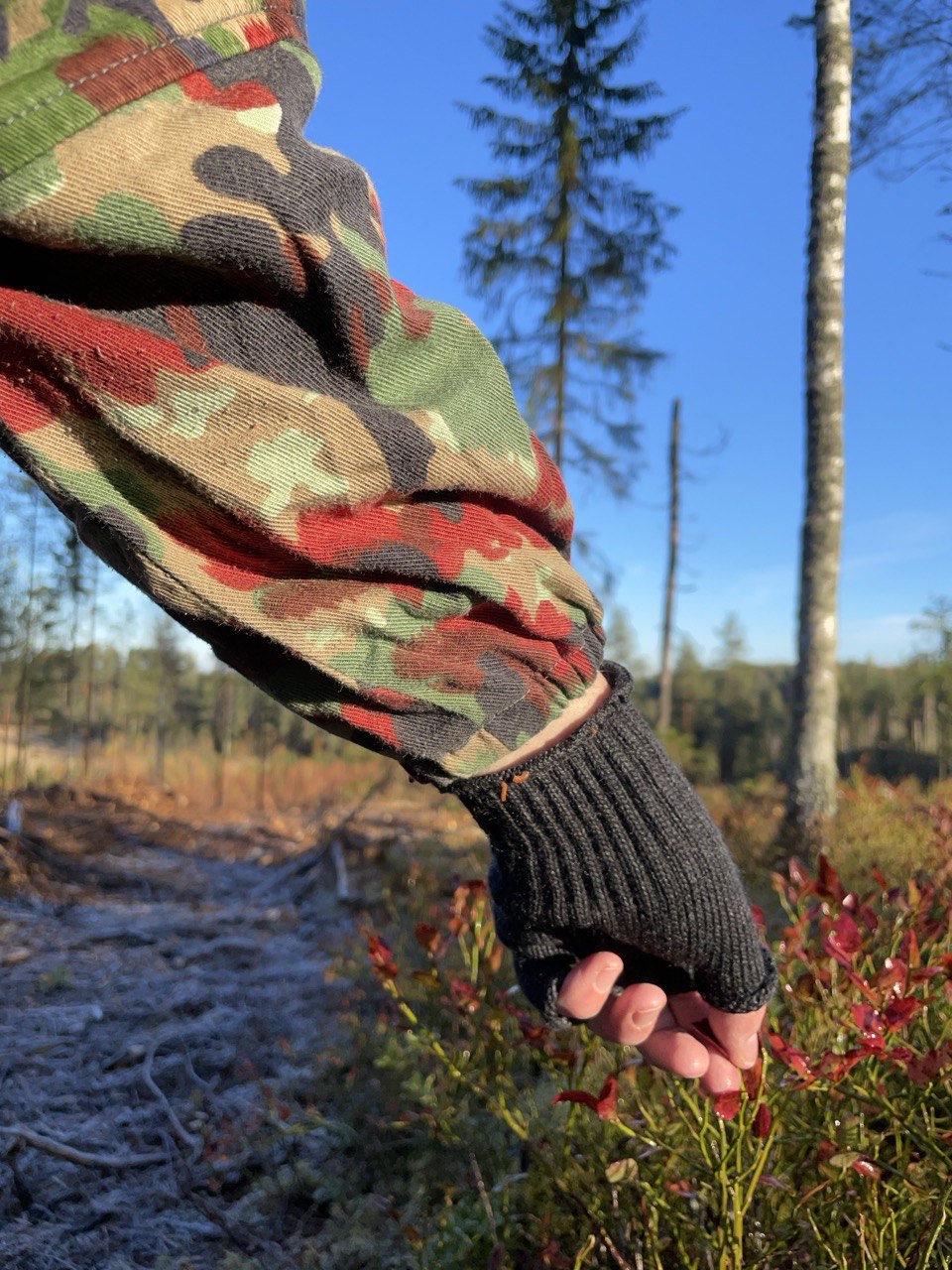 Sveitsin armeijan M70 kenttätakki päivärepulla, Alpenflage, ylijäämä