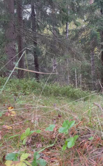 Itävallan armeijan KAZ03 nahkamaiharit, ylijäämä