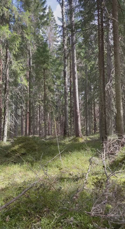 Ranskan armeijan "Lafuma"-reppu metallirangalla, ylijäämä