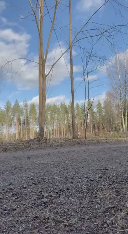 Bundeswehrin Haix DMS varsikengät, ylijäämä
