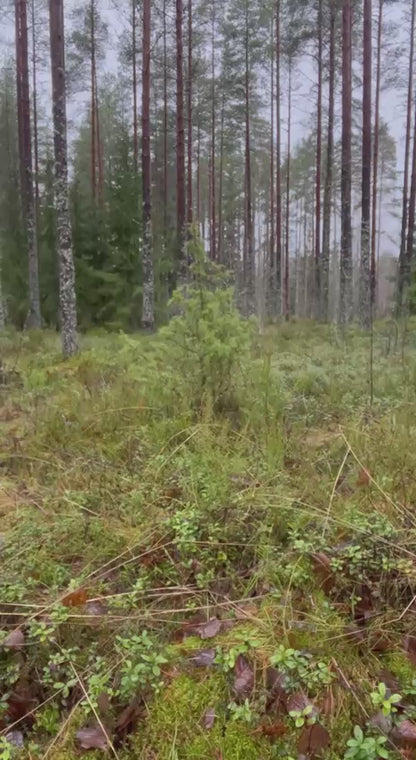 Bundeswehrin Gore-Tex kalvohousut, Flecktarn, ylijäämä